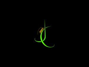 Logo Design by zoxo69