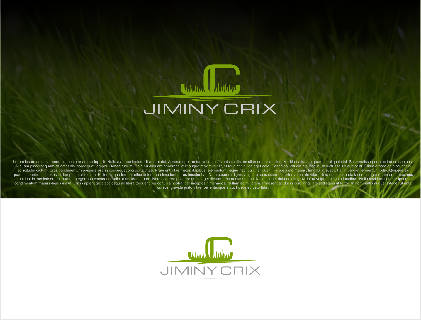 Logo Design by artswolf for Signarama | Design #13022336