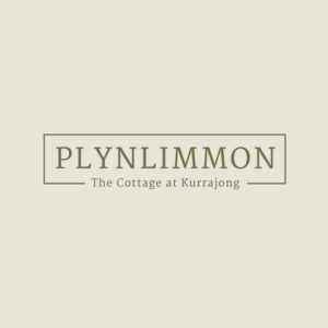 Logo Design by Dare to Fly