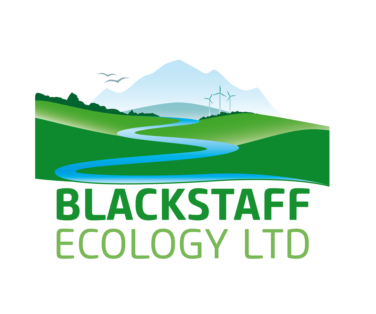 Logo Design by yourgraphicwhore for this project | Design #2447746