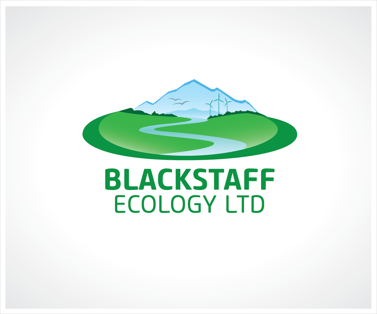 Logo Design by yourgraphicwhore for this project | Design #2451272