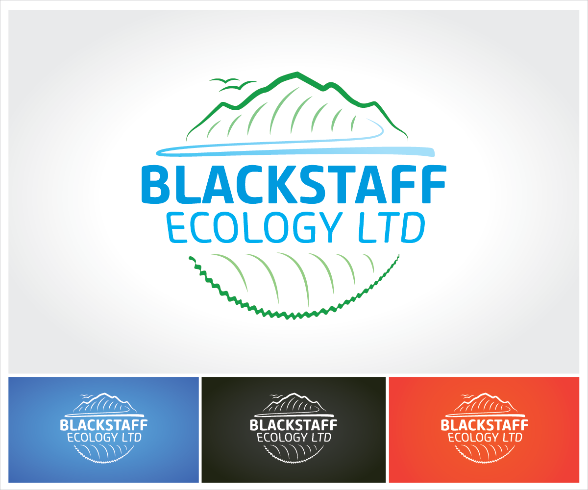 Logo Design by yourgraphicwhore for this project | Design #2456319