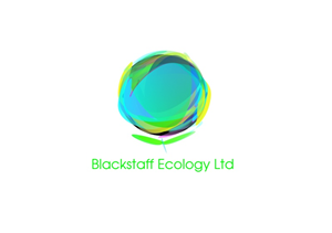 Logo Design by salah707