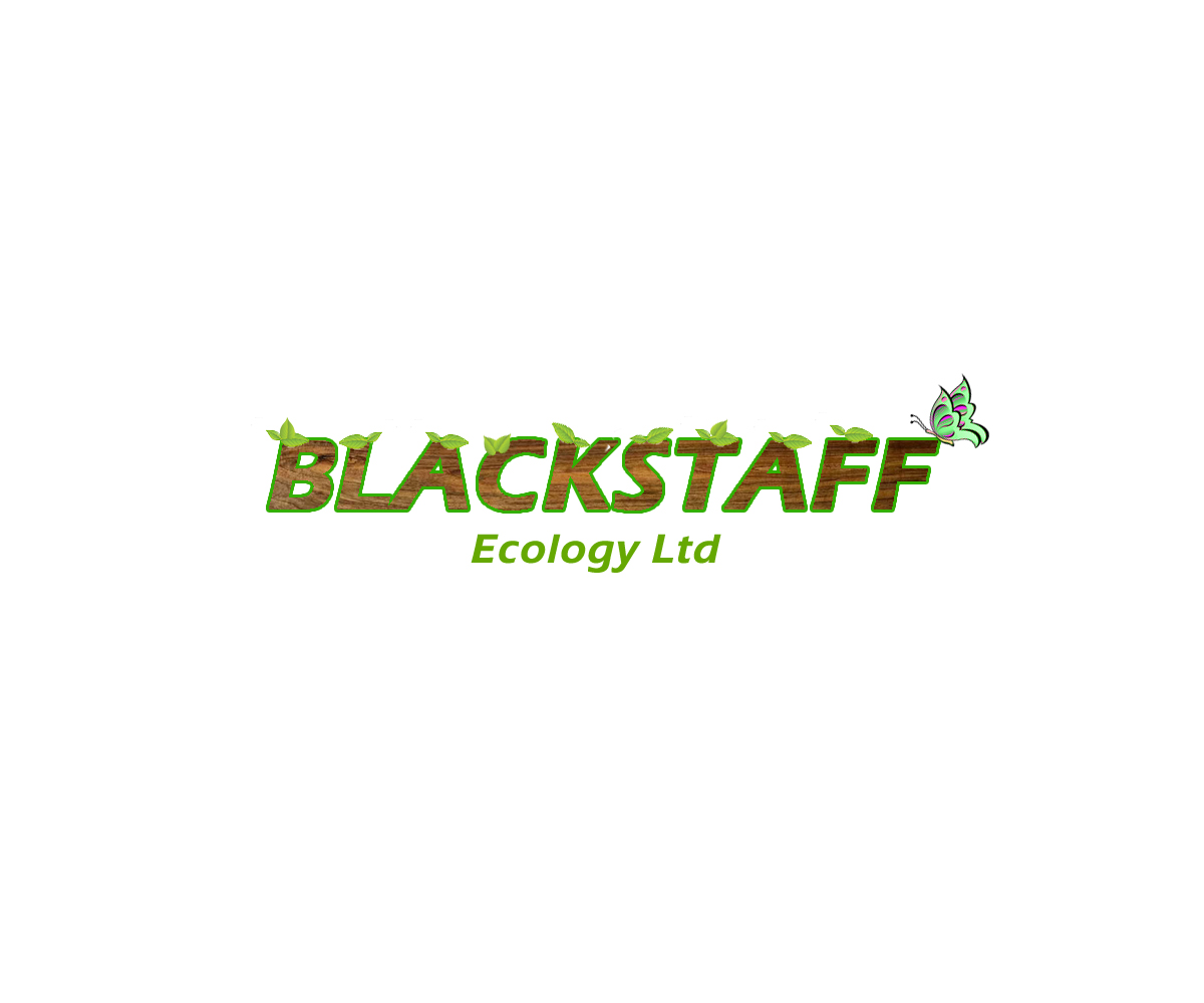 Logo Design by sarvam siva for this project | Design #2472317