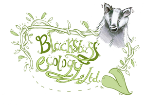 Design de Logo par Grace Sandford pour ce projet | Design : #2469705