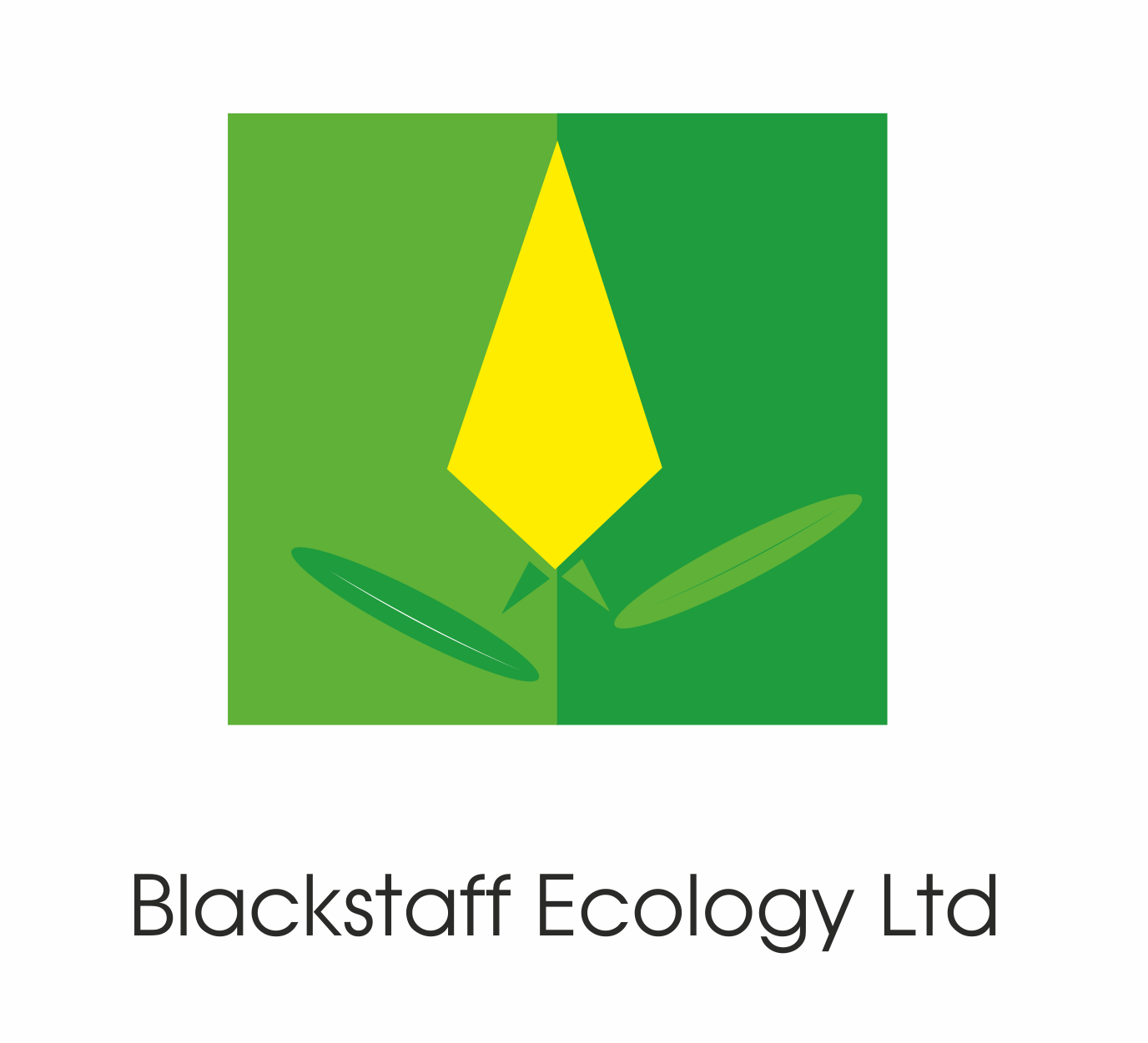 Logo Design by Andrei for this project | Design #2440383