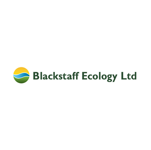 Logo Design by Design Possibilities for this project | Design: #2477520