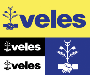 Logo Design by Flow_LV