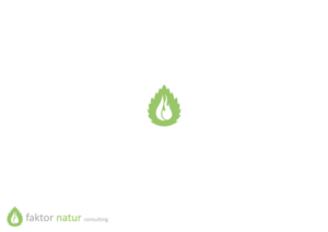 Logo Design by Amduat Design