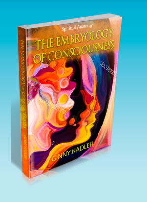 Book Cover Design by leuchi for Launch My Book, Inc. | Design: #12978096
