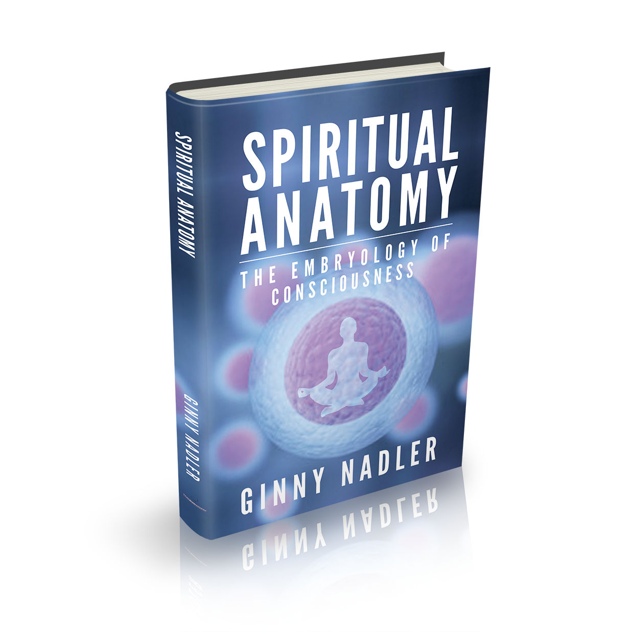 Design de Couverture de Livre par popdesign¤ pour Launch My Book, Inc. | Design #13021035