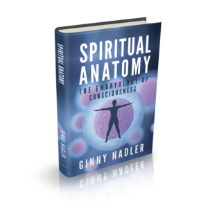 Design de Couverture de Livre par popdesign¤ pour Launch My Book, Inc. | Design : #13021037