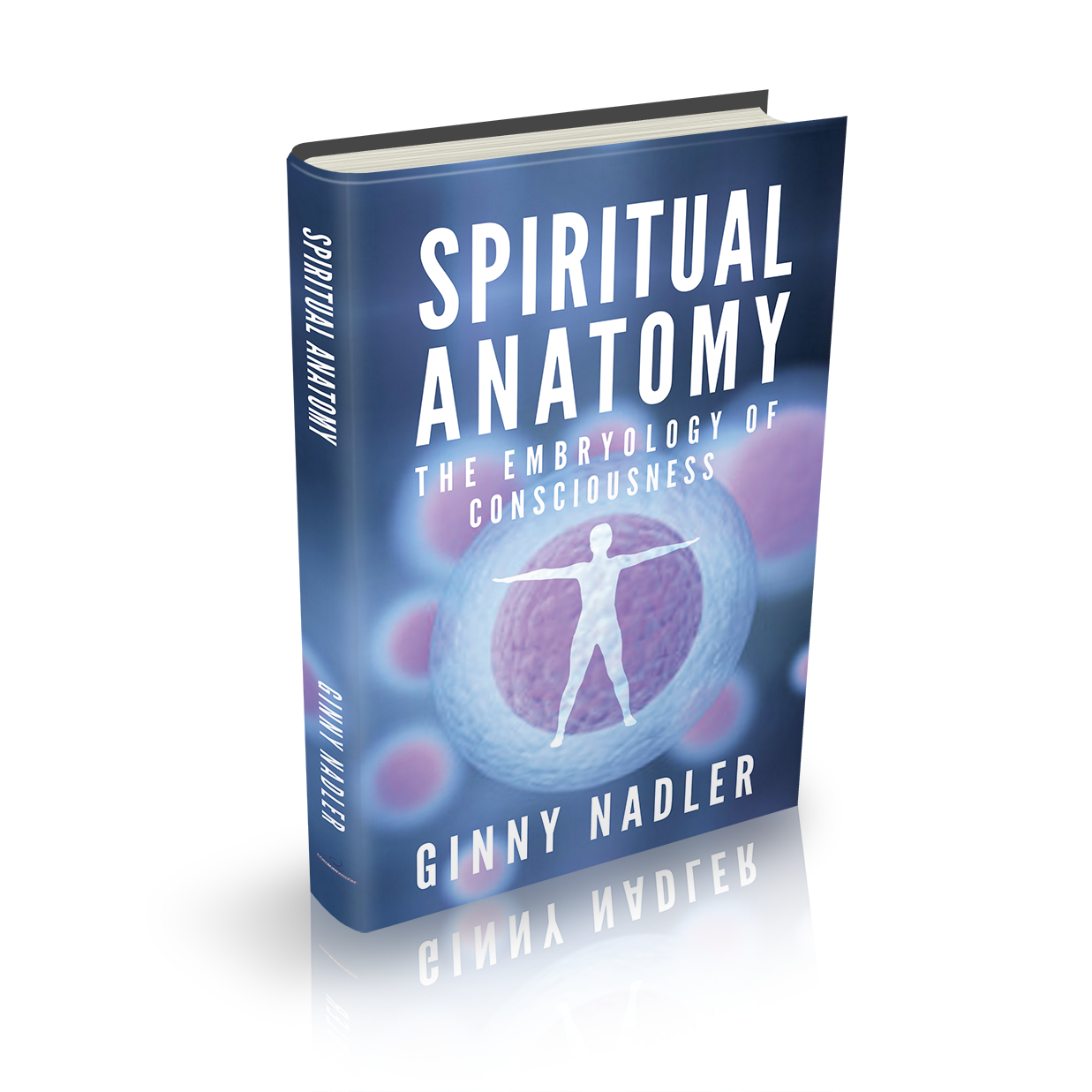 Design de Couverture de Livre par popdesign¤ pour Launch My Book, Inc. | Design #13021039