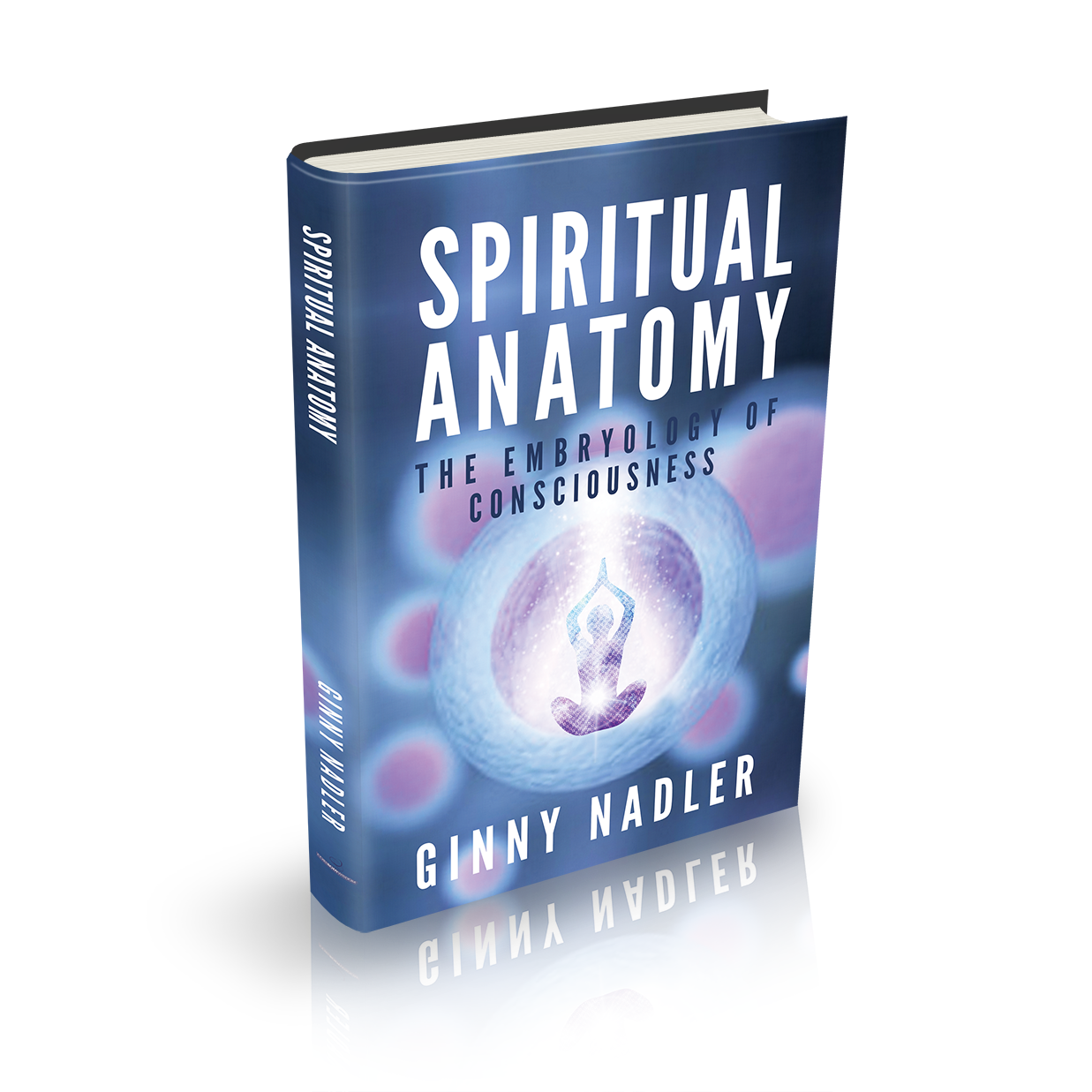 Design de Couverture de Livre par popdesign¤ pour Launch My Book, Inc. | Design #13090963