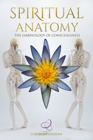 Book Cover Design by Tatlin for Launch My Book, Inc. | Design: #12941229