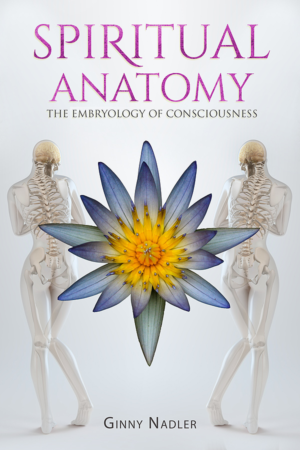 Book Cover Design by Tatlin for Launch My Book, Inc. | Design: #12970271