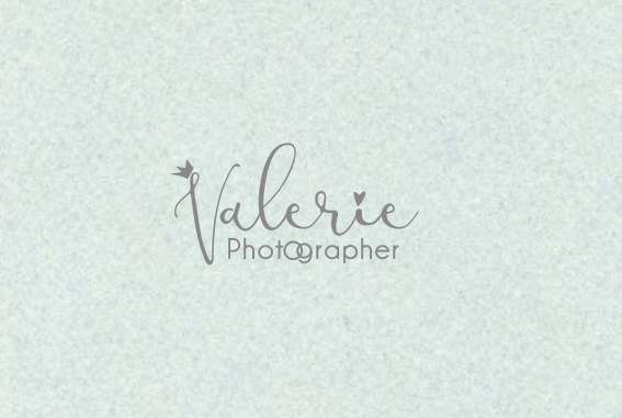 Logo Design by ciolena for this project | Design #12952797