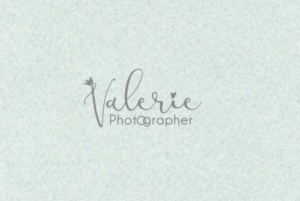 Logo Design by ciolena for this project | Design: #12952797