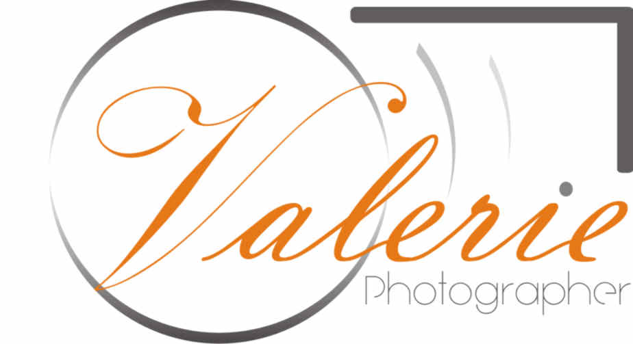 Diseño de Logo por mbahne.alim6 para este proyecto | Diseño #12943789