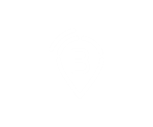 Logo Design by Daniel Caso Design for BlueSense Solutions | Design: #13439825