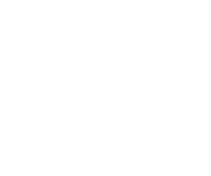 Logo Design by Daniel Caso Design for BlueSense Solutions | Design: #13439826