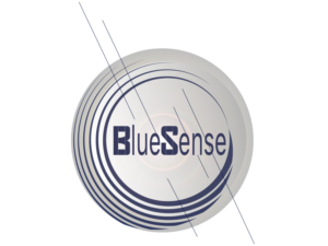 Logo Design by midnightmaiden for BlueSense Solutions | Design: #13096144