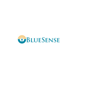 Logo Design by graphicssoul for BlueSense Solutions | Design: #13005433