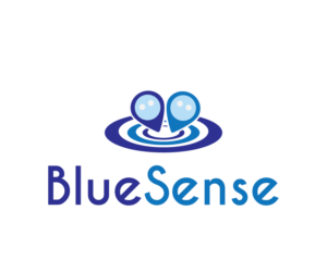 Logo Design by ag04 for BlueSense Solutions | Design: #12991806