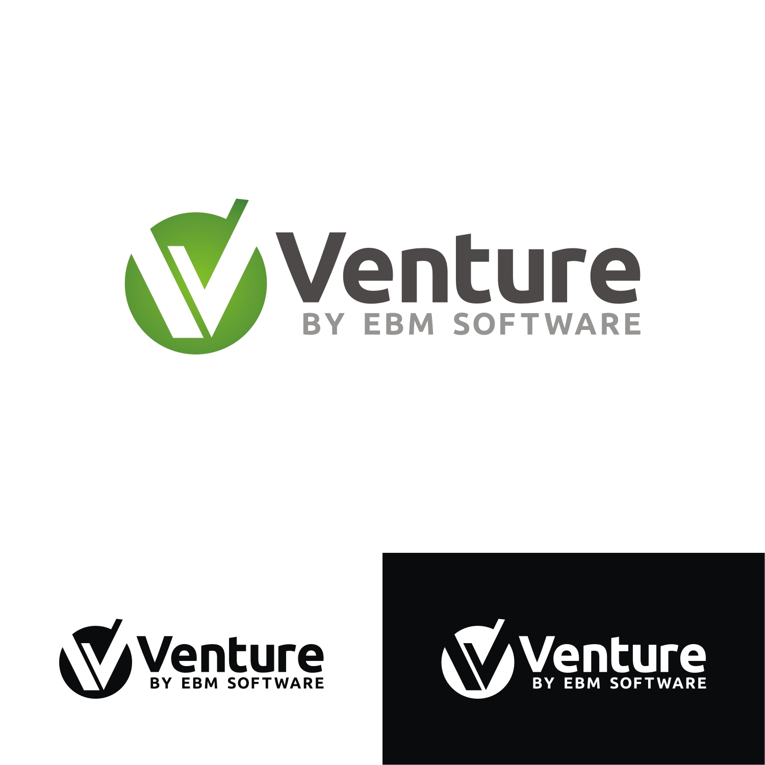 Logo Design by e-graphics for EBM Software | Design #12987848