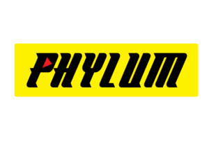 Logo Design by DeZion Creations