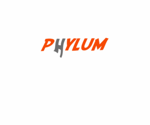 Logo Design by iDianadiana for this project | Design: #13050317