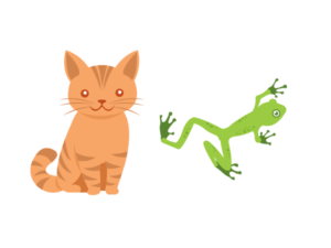 Cartoon cat, frog, dog and duck to suit existing veterinary logo | Diseño Con Ilustración por Grace A