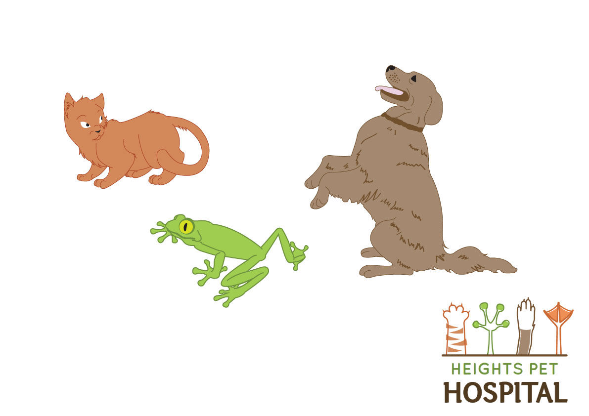 Diseño Con Ilustración por Parul para Heights Pet Hospital | Diseño #12976177