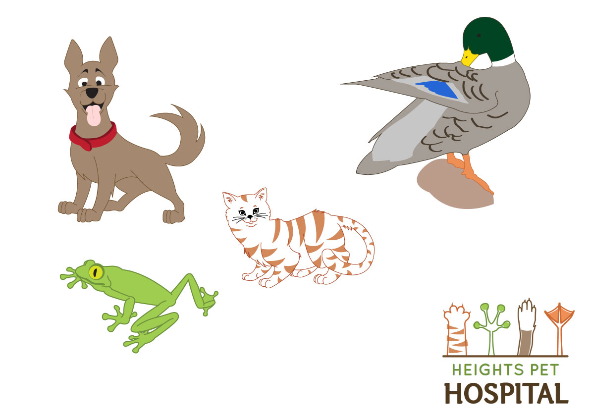 Illustration Design by Parul for Heights Pet Hospital | Design #13013862