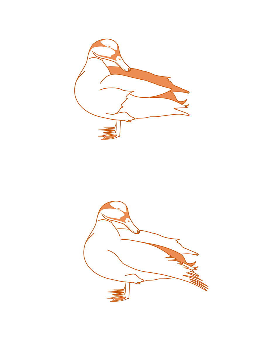 Illustration Design by MagesticDesign for Heights Pet Hospital | Design #13053457