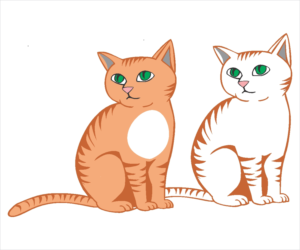 Illustration Design by chameerakasundb