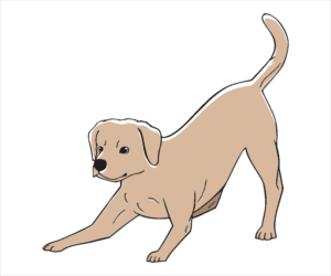 Diseño Con Ilustración por chameerakasundb para Heights Pet Hospital | Diseño: #12971814