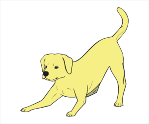 Diseño Con Ilustración por chameerakasundb para Heights Pet Hospital | Diseño: #12971830