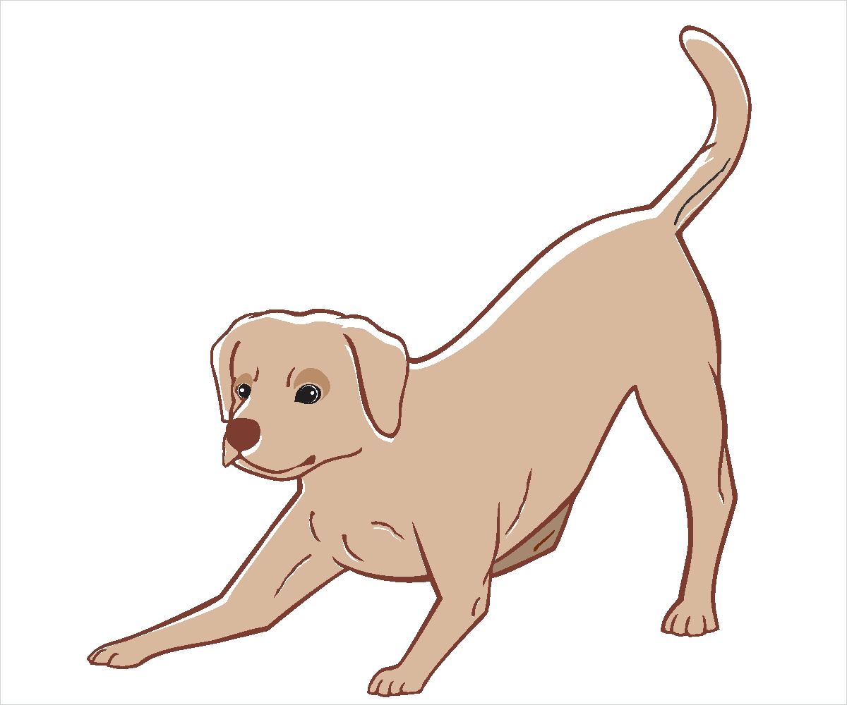 Diseño Con Ilustración por chameerakasundb para Heights Pet Hospital | Diseño #12980112