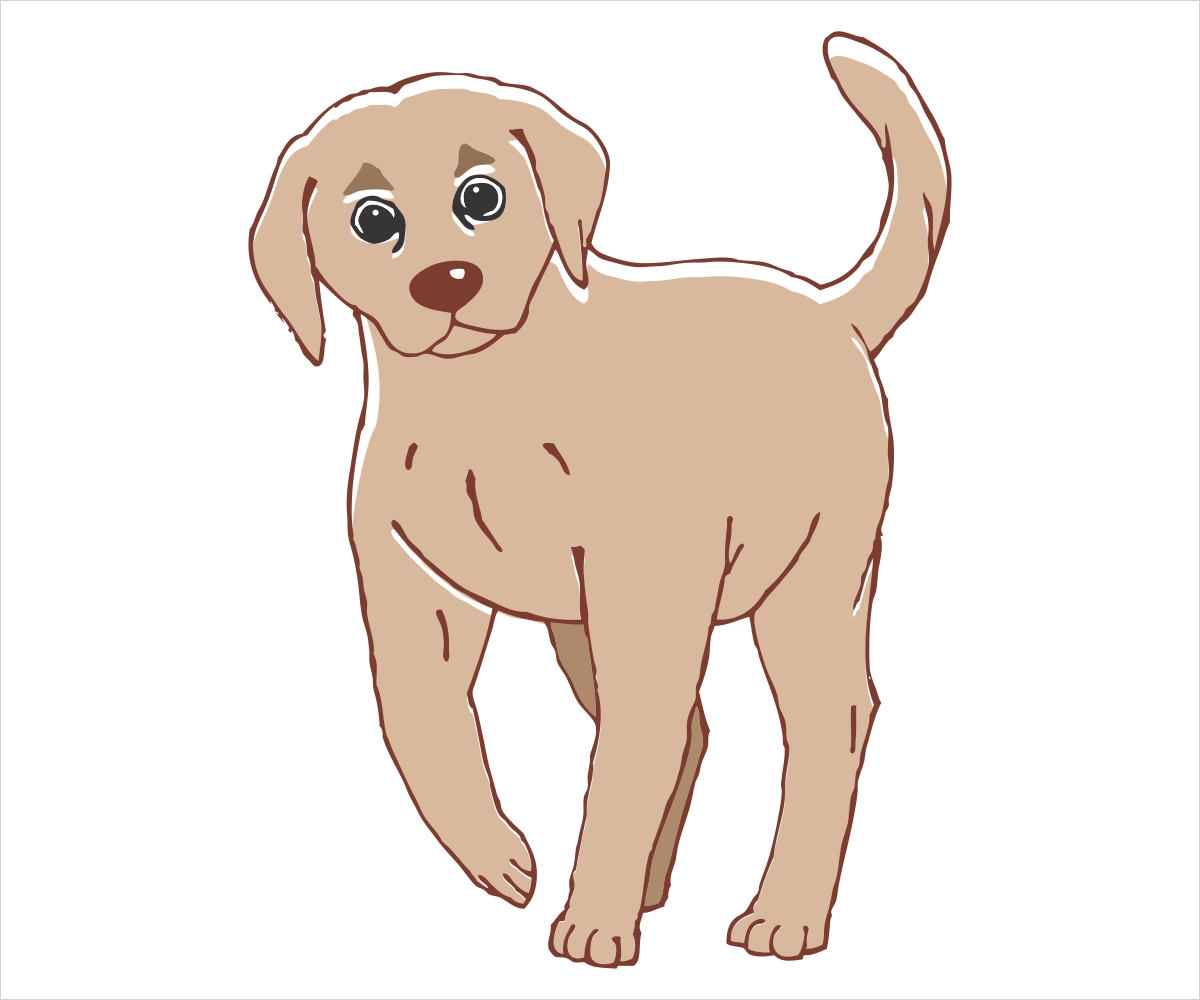 Illustration Design by chameerakasundb for Heights Pet Hospital | Design #13042196