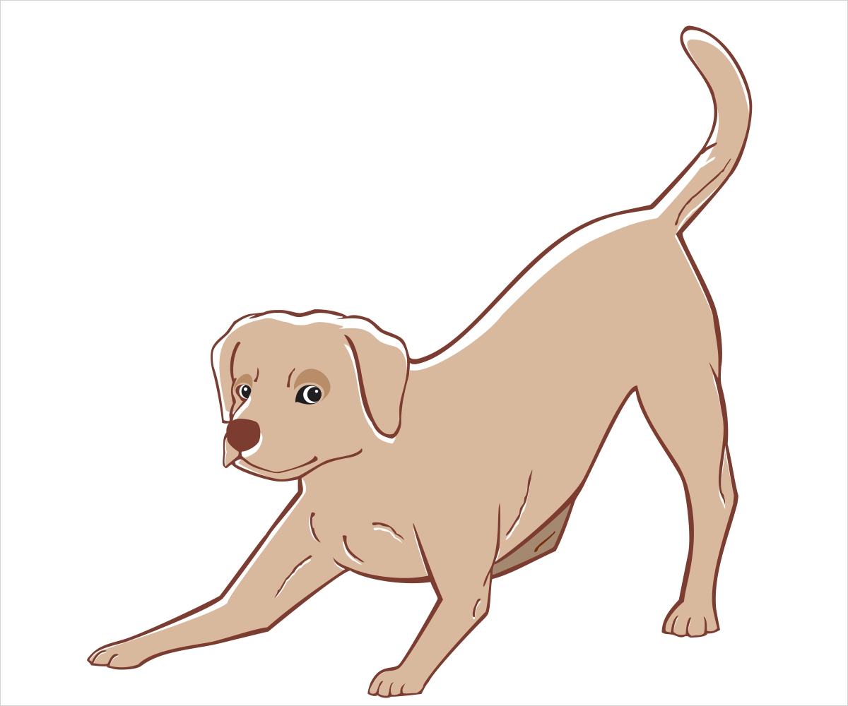 Illustration Design by chameerakasundb for Heights Pet Hospital | Design #13042294