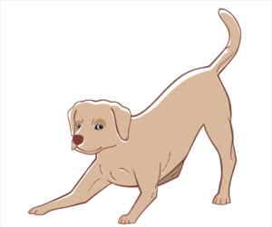 Cartoon cat, frog, dog and duck to suit existing veterinary logo | Diseño Con Ilustración por chameerakasundb