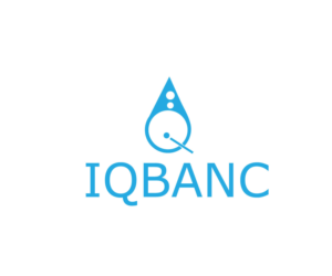 Design de Logo par Top king  designer pour Spark Capital LLC | Design : #12965527