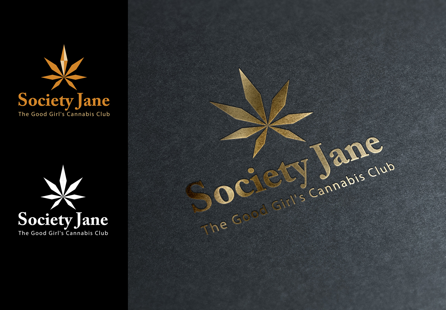 Logo Design by Grafactory for this project | Design #12984075