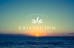 Logo Design by GLDesigns for this project | Design: #12973560