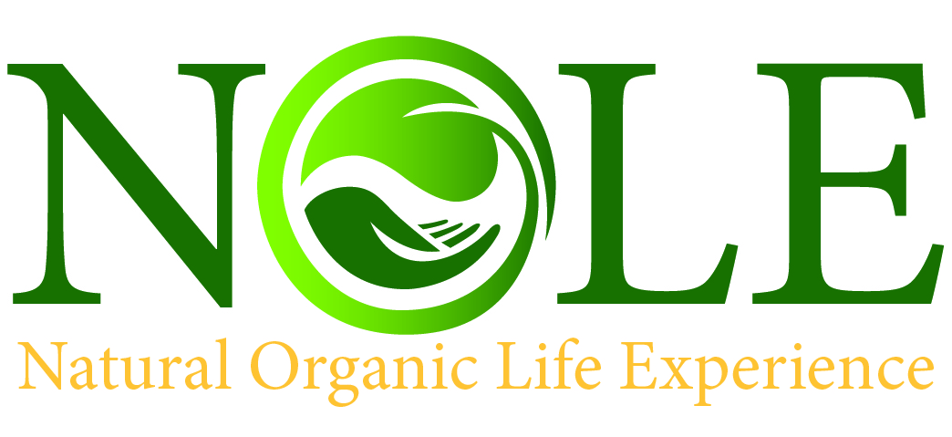 Logo Design by kingrl for Future Tech Enterprise, Inc. | Design #12992428