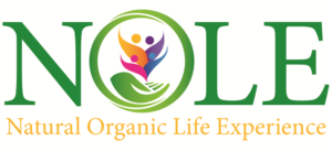 Logo Design by kingrl for Future Tech Enterprise, Inc. | Design: #13017999