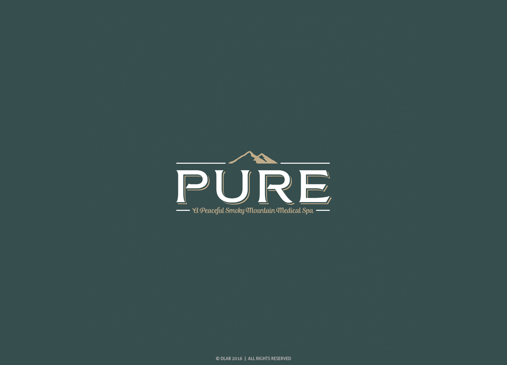 Design de Logo par DLab™ pour Great Smoky Mountains Winery | Design #13061957