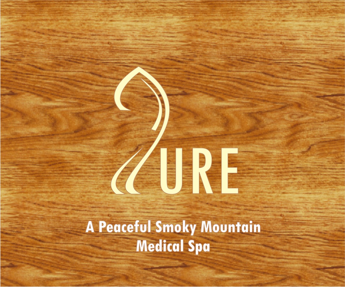 Logo Design by Hemant Dwivedi for Great Smoky Mountains Winery | Design #13136020