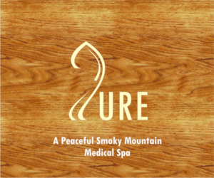 Logo Design by Hemant Dwivedi for Great Smoky Mountains Winery | Design: #13136020
